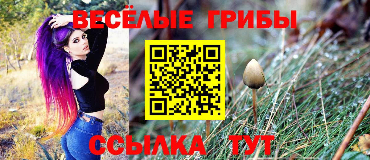 Галлюциногенные грибы мицелий Клин